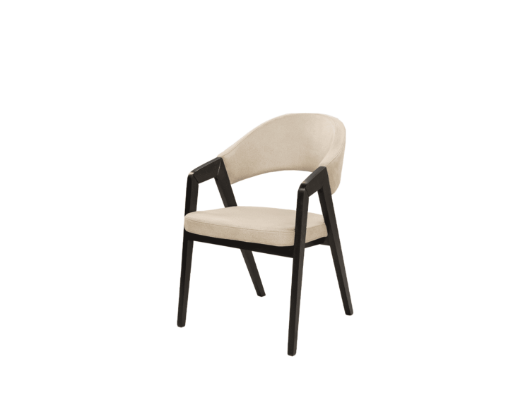 Trpezarijska stolica Swan